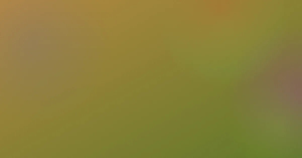 宇宙探索编辑部测评：五个避坑问答